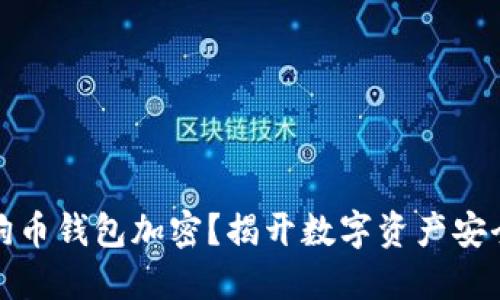何为狗狗币钱包加密?揭开数字资产安全的面纱