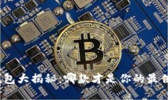 数字钱包大揭秘：哪款才