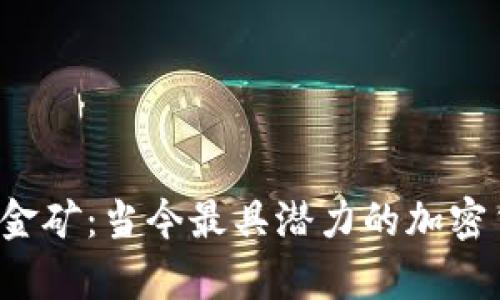未来的数字金矿：当今最具潜力的加密货币有哪些？