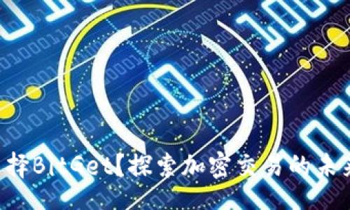 peiwen
  为什么选择BitGet？探索加密交易的未来与可能性！