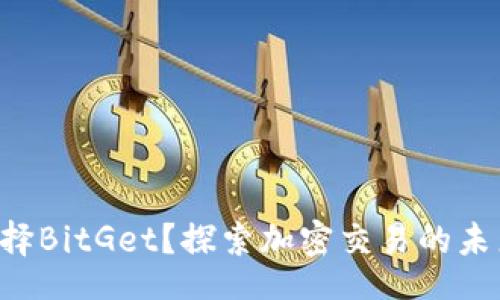 peiwen
  为什么选择BitGet？探索加密交易的未来与可能性！