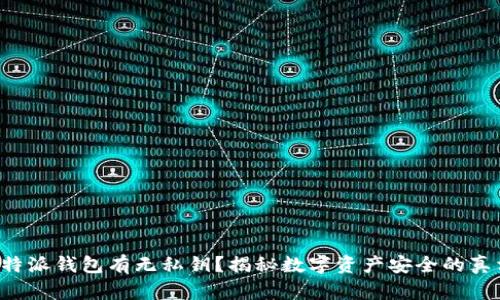 比特派钱包有无私钥？揭秘数字资产安全的真相！