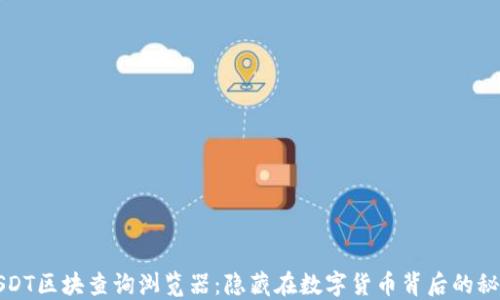 
USDT区块查询浏览器：隐藏在数字货币背后的秘密