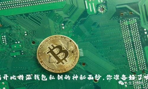 揭开比特派钱包私钥的神秘面纱，你准备好了吗？