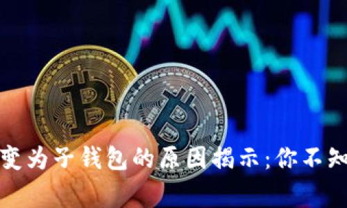tp身份钱包转变为子钱包的原因揭示：你不知道的背后故事