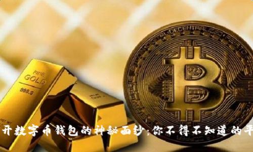 揭开数字币钱包的神秘面纱：你不得不知道的平台