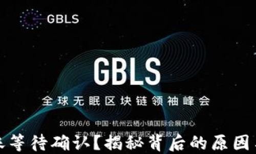 TP钱包转账等待确认?揭秘背后的原因与解决方案