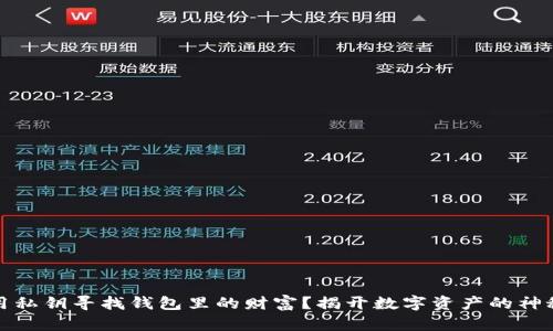 如何用私钥寻找钱包里的财富?揭开数字资产的神秘面纱