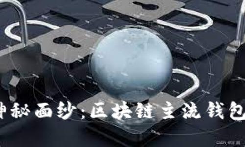 : 揭开神秘面纱:区块链主流钱包有哪些?