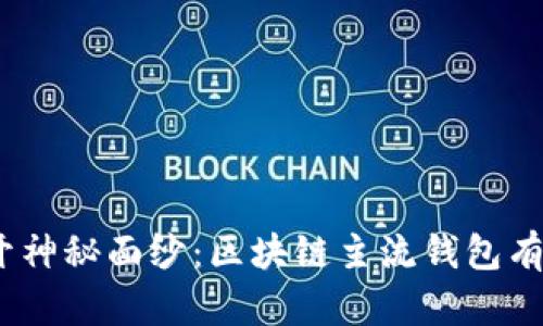 : 揭开神秘面纱:区块链主流钱包有哪些?