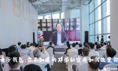 数字资产电子钱包：你不