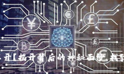 TP钱包打不开?揭开背后的神秘面纱,找到解决办法!