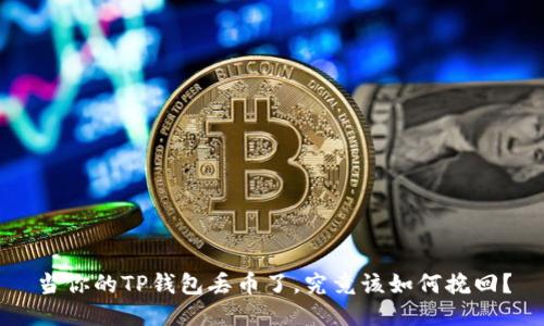 当你的TP钱包丢币了,究竟该如何挽回?