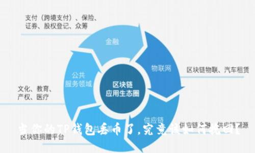 当你的TP钱包丢币了,究竟该如何挽回?