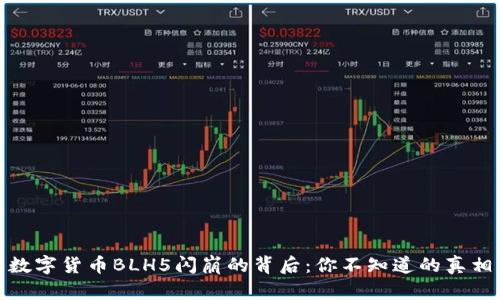 数字货币BLH5闪崩的背后:你不知道的真相