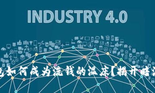 数字货币钱包如何成为洗钱的温床?揭开暗流涌动的秘密
