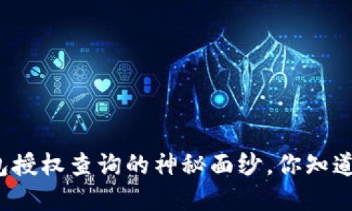 揭开区块链钱包授权查询的神秘面纱，你知道在哪里找到吗？
