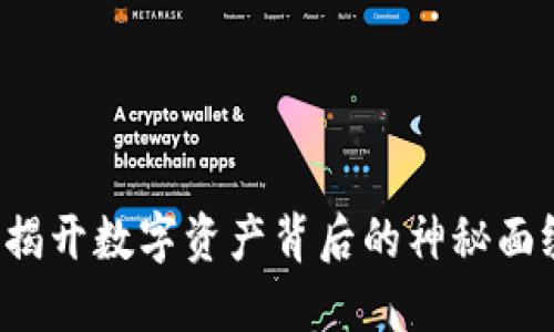 虚拟币钱包链条：揭开数字资产背后的神秘面纱，您准备好了吗？