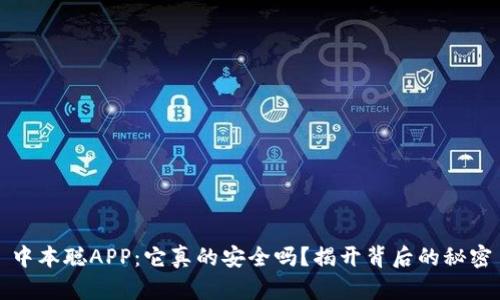 中本聪APP：它真的安全吗？揭开背后的秘密