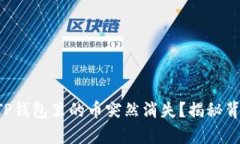 为何你的TP钱包里的币突然