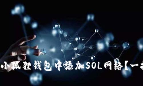 如何在小狐狸钱包中添加SOL网络?一探究竟!