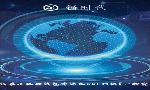 如何在小狐狸钱包中添加SOL网络?一探究竟!