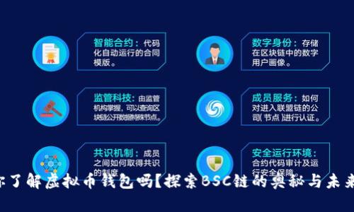 你了解虚拟币钱包吗？探索BSC链的奥秘与未来！