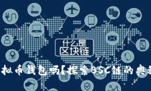 你了解虚拟币钱包吗？探索BSC链的奥秘与未来！