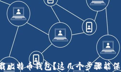 如何安全下载比特币钱包?这几个步骤能保护你的资产!