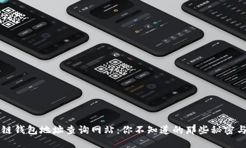 区块链钱包地址查询网站:你不知道的那些秘密与技巧