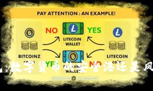 OKPay钱包:数字货币的安全港还是风险的漩涡?