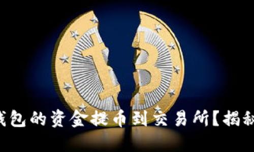 如何将宝贝狗TP钱包的资金提币到交易所?揭秘背后的操作技巧!