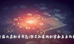 探索国内虚拟币钱包：你