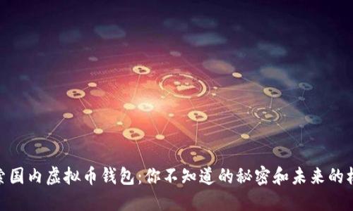 探索国内虚拟币钱包：你不知道的秘密和未来的机遇
