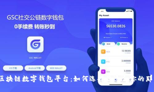 探索区块链数字钱包平台：如何选择最适合你的那一款？