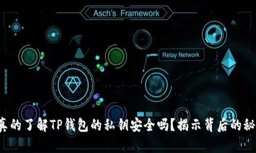 你真的了解TP钱包的私钥安全吗？揭示背后的秘密！