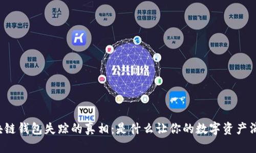 区块链钱包失踪的真相：是什么让你的数字资产消失？