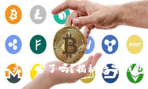 你准备好进入元宇宙了吗？揭秘数字钱包的无限潜力！