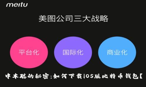 中本聪的秘密：如何下载iOS版比特币钱包？