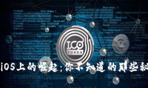 “比特币在iOS上的崛起：你不知道的那些秘密和风险”