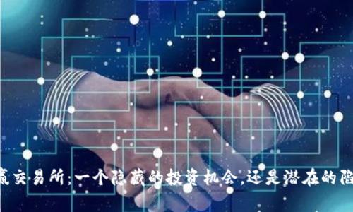 币赢交易所：一个隐藏的投资机会，还是潜在的陷阱？