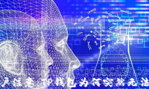 
iOS用户注意：TP钱包为何突然无法使用？