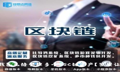 如何利用TP钱包无缝管理多个BSC链资产？答案让你大吃一惊！