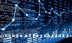 揭开Gopay钱包的真相：数字