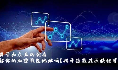 思考一个易于大众且的优质  
你真的了解你的加密钱包地址吗？揭开隐藏在区块链背后的秘密！