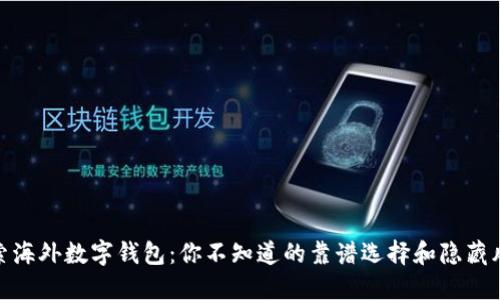 探索海外数字钱包:你不知道的靠谱选择和隐藏风险