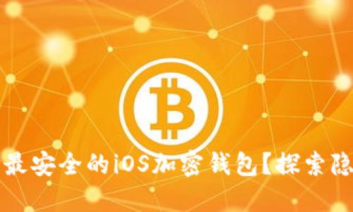  如何选择最安全的iOS加密钱包？探索隐藏的宝藏！