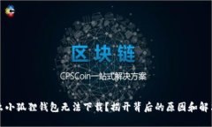 为什么小狐狸钱包无法下