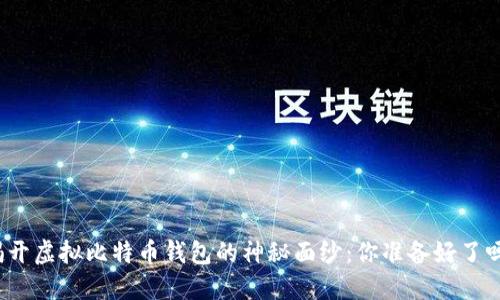 揭开虚拟比特币钱包的神秘面纱:你准备好了吗?