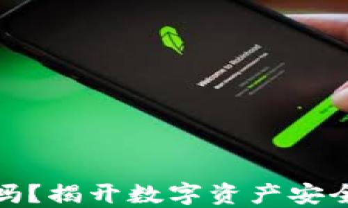 TP钱包安全吗?揭开数字资产安全的神秘面纱